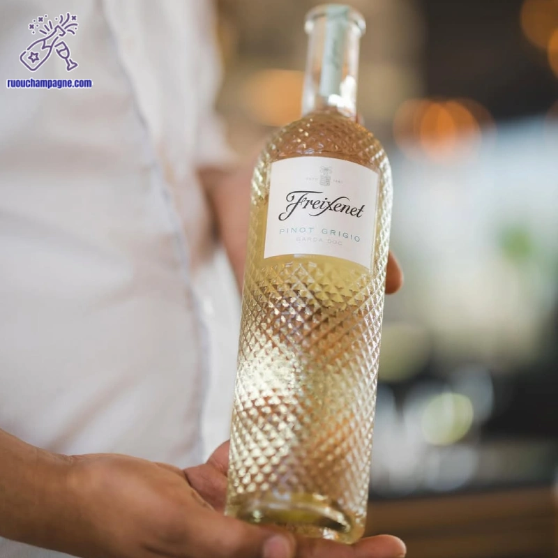 Cách thưởng thức rượu Freixenet Pinot Grigio