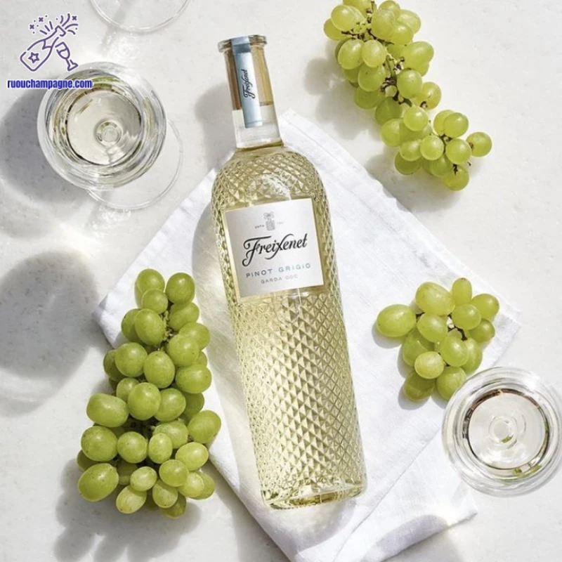 Giới thiệu về Freixenet Pinot Grigio