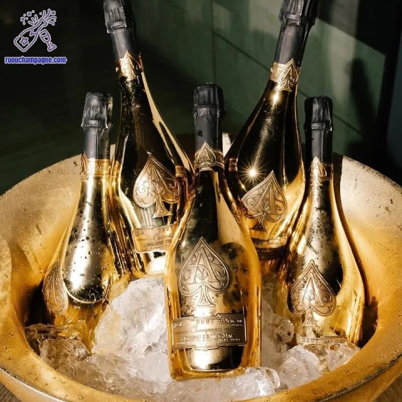 Thưởng thức armand de brignac brut gold đúng cách