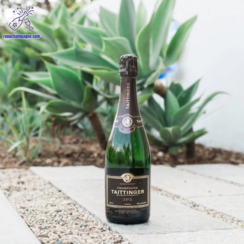 Nhà sáng lập đứng sau champagne taittinger millesime